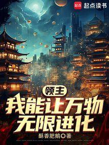 领主时代我有无限改造术