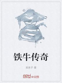 铁牛传奇TXT