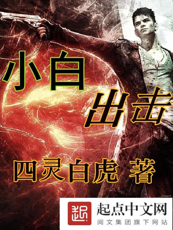 小白n1