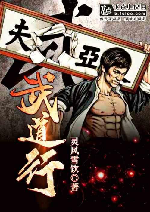 武道行迹内置菜单