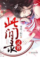 灵界此间录评价