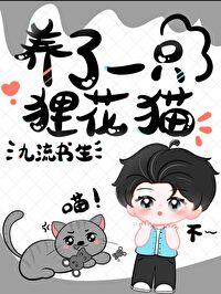 养了一只狸花猫by