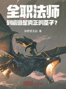 全职法师圣城之后
