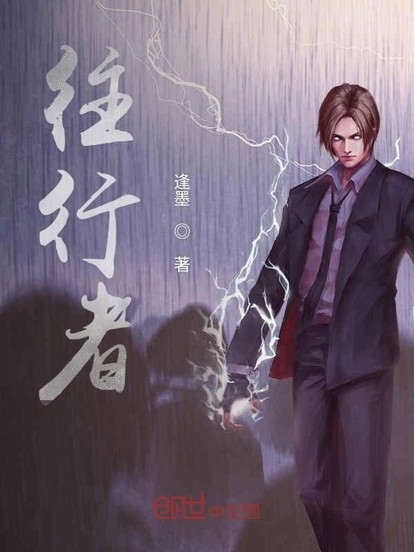 往行者充电宝使用说明