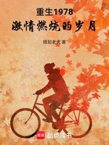 重生1978激情燃烧的岁月免费阅读