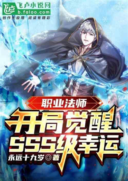 职业法师阅读