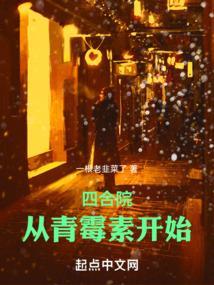 四合院从青霉素开始笔趣阁