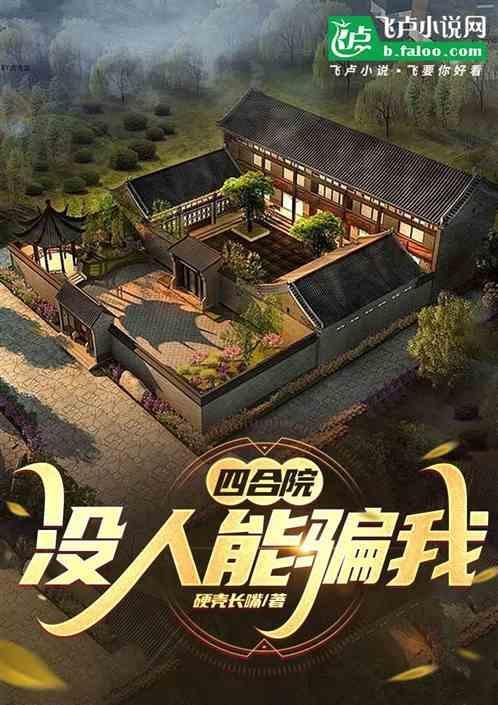 四合院没人能骗我