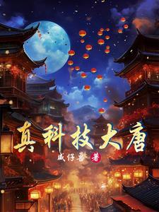 在大唐搞工业的