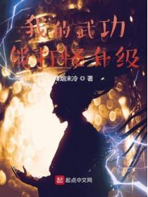我的武功能加点