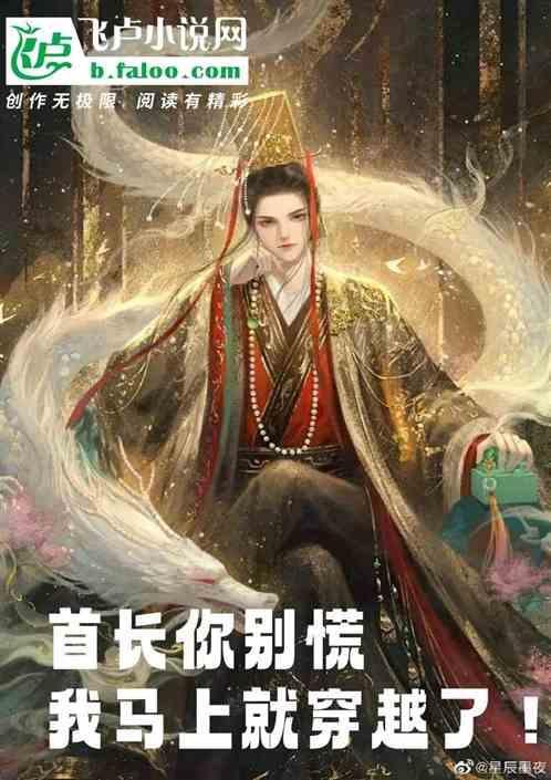 首长别乱来