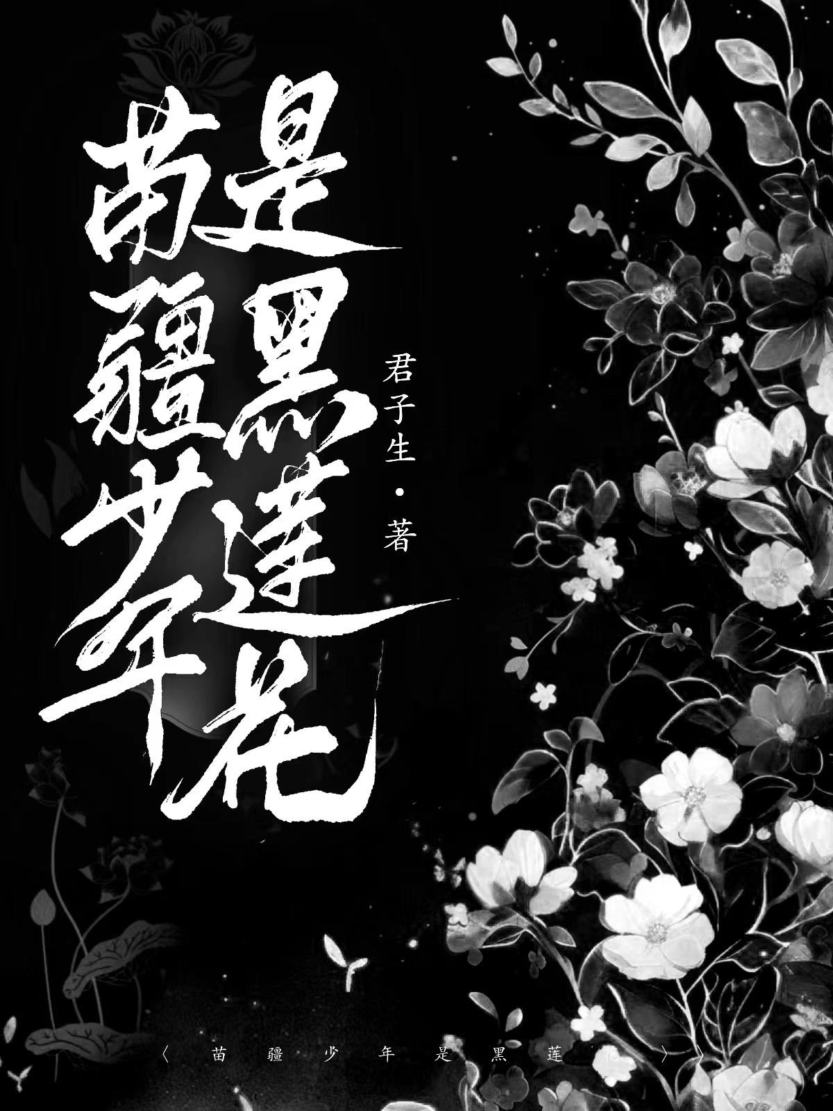 抖音苗疆少年