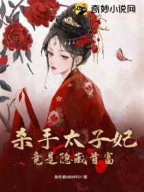 【穿书】杀手太子妃又狠又媚