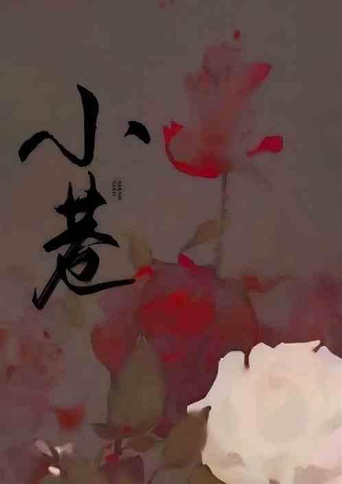 小巷人家哪个平台播