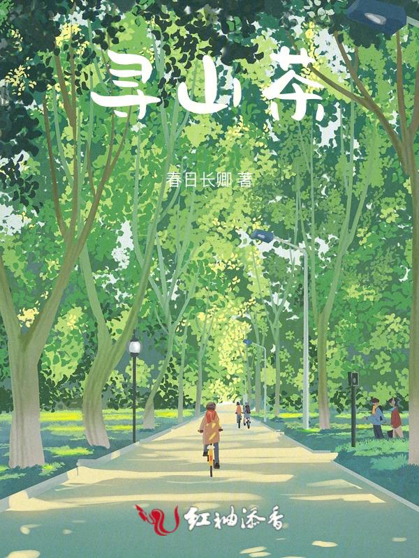 寻山茶叶多少钱
