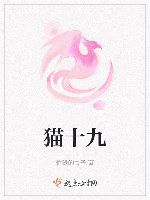猫十九影像工作室