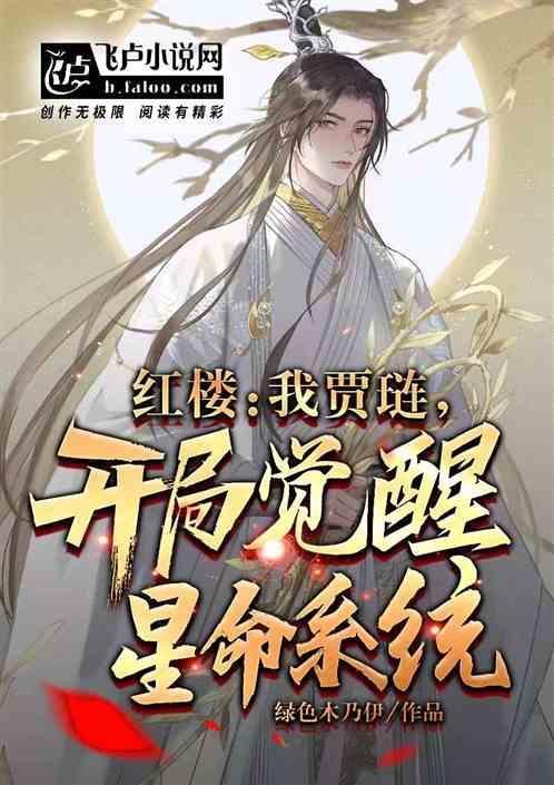 穿越红楼之我贾琏