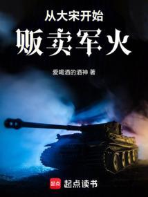 从大宋开始贩卖军火的