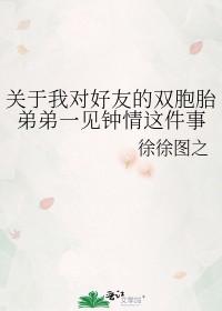 关于我对好友的双胞胎弟弟一见钟情这件事双洁吗