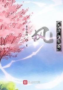 流浪的风