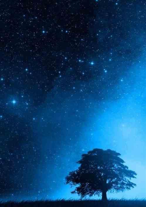 群星 游民星空