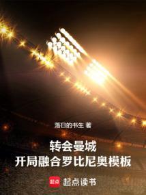 曼城 罗比尼奥