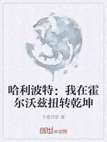 穿越哈利波特在霍格沃兹长大