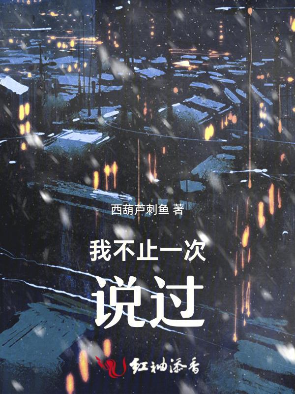 我不止一次说过我不喜欢这样的句子