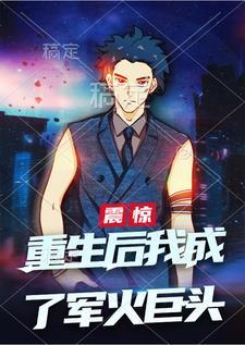 重生之军火巨头女主