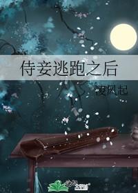侍妾逃跑之后讲的什么