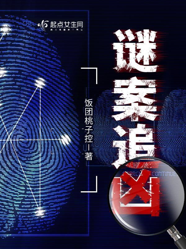 谜案追凶电影