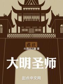 大明圣师30—100集免费观看