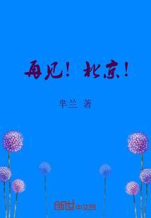 再见北京歌词赵雷