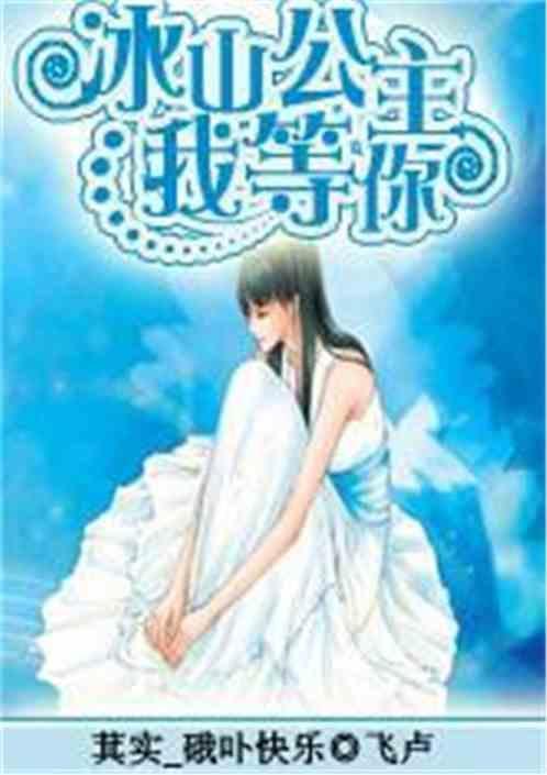 冰山公主的冰山王子