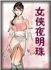 女侠夜明珠简介
