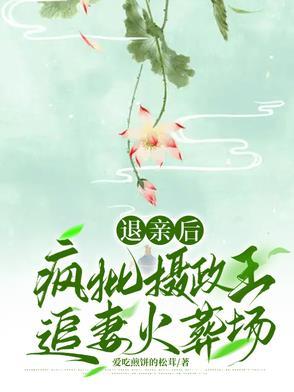 退亲后我嫁给皇上