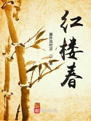 红楼梦