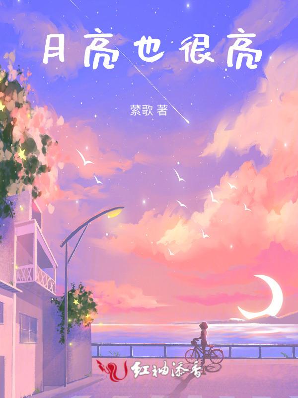 亮也没用出处
