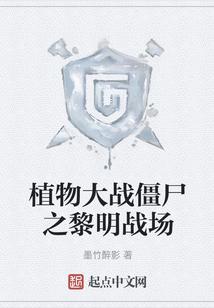 植物大战僵尸之黎明战场有声