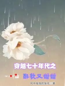 穿越七零年代的推荐