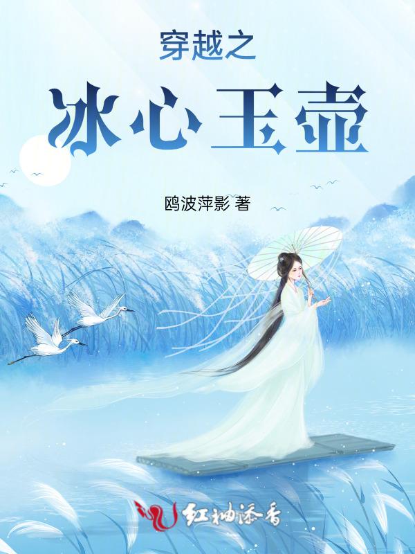 一片冰心在玉壶的意思