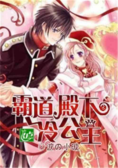 冷少的霸道公主