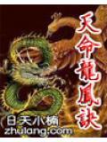 天命龙子