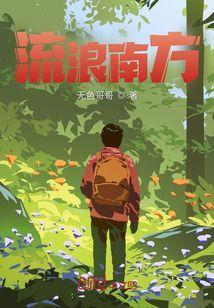 流浪怎么样