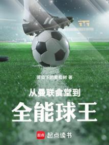 主角在曼联踢足球的