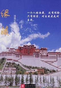 缘藏歌