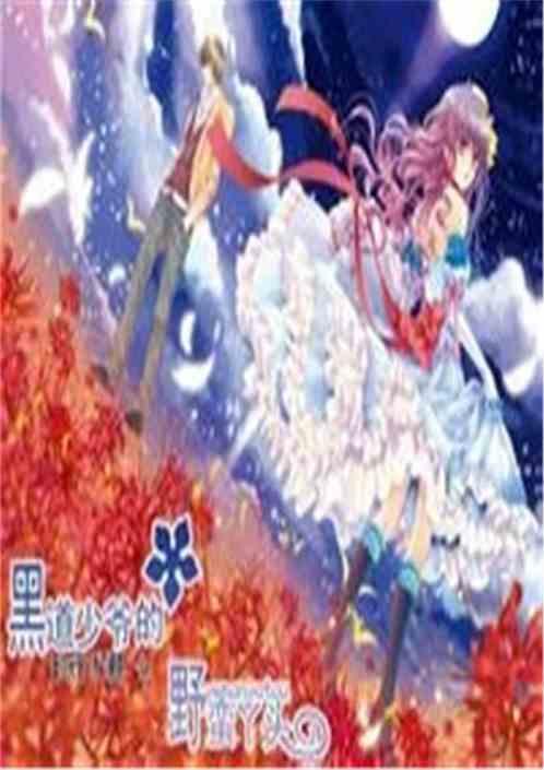 霸道少爷的野蛮丫头夜哲轩