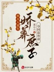 侯夫人荣宠之路