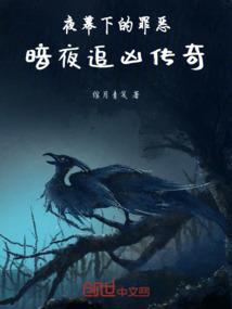 暗夜追凶免费阅读