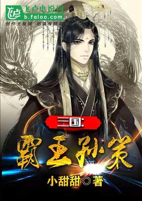 三国之霸王孙策